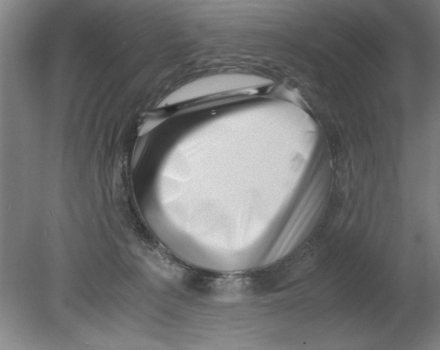 X0000080120225200612302018