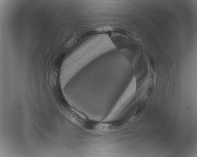 X0000080120227200612302018