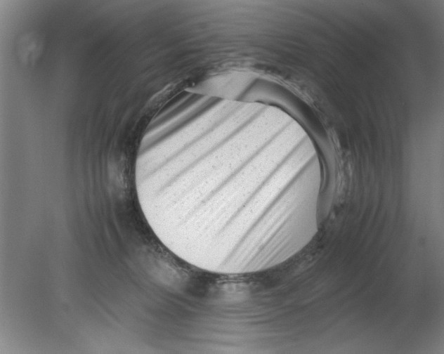 X0000080120228200612302018
