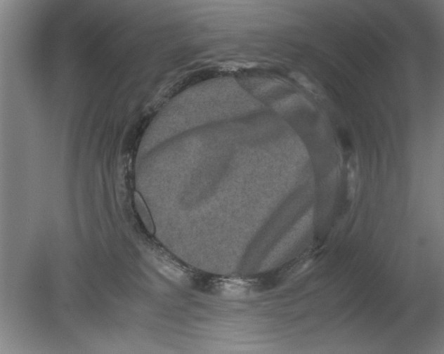 X0000080120229200612302018