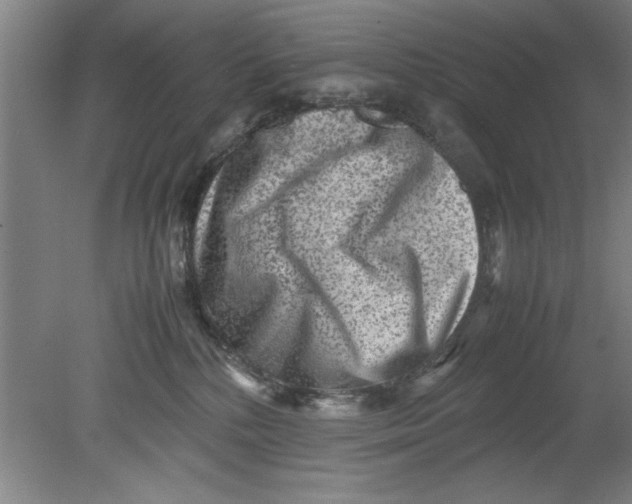 X0000080120232200612302018