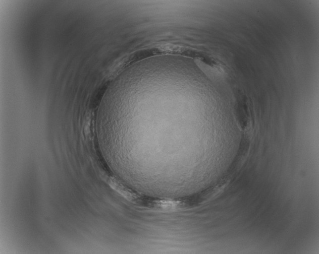 X0000080120233200612302018