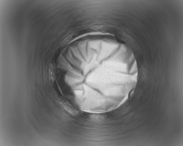 X0000080120234200612302018