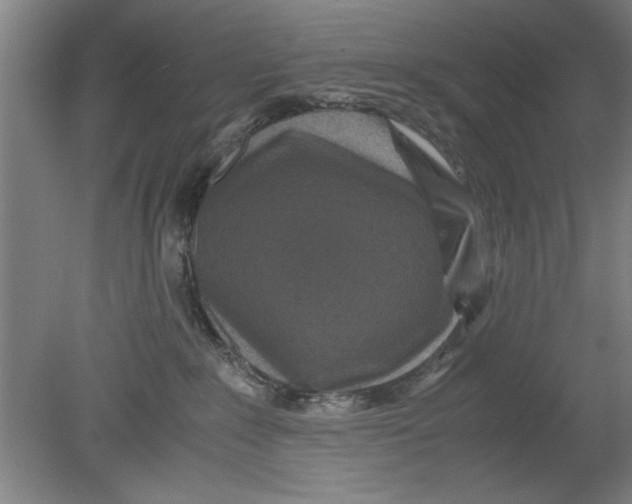 X0000080120235200612302018