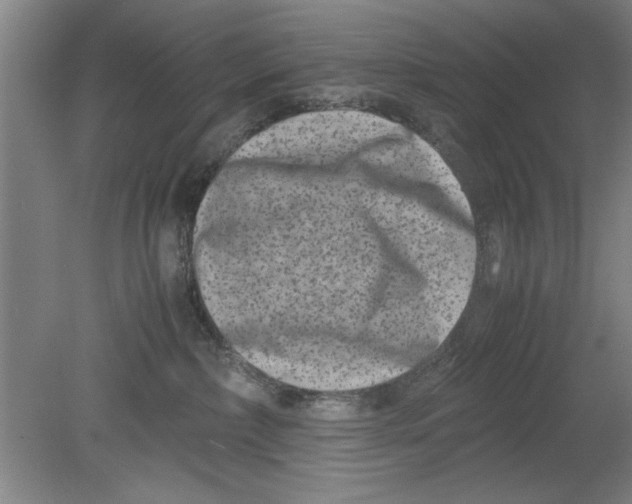 X0000080120236200612302018