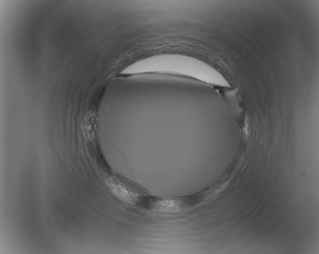 X0000080120237200612302018