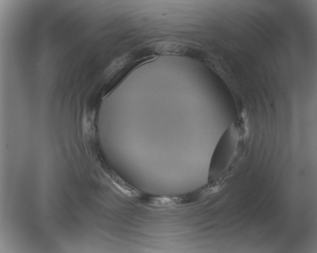 X0000080120239200612302018