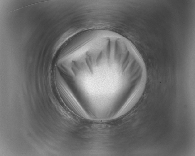 X0000080120242200612302017