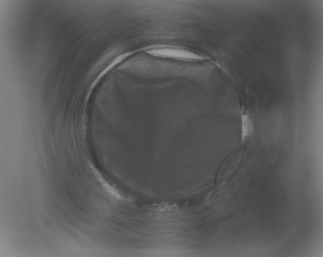 X0000080120243200612302017