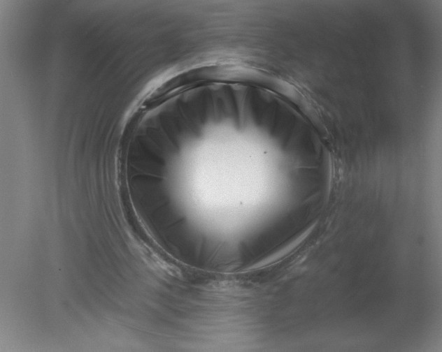 X0000080120244200612302017