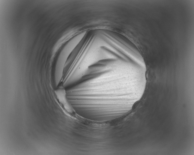 X0000080120245200612302017