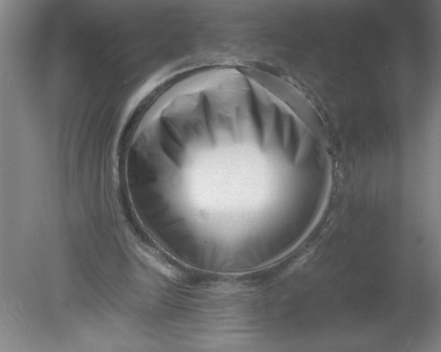 X0000080120246200612302017