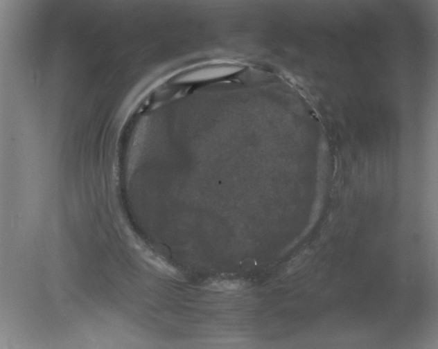 X0000080120247200612302017