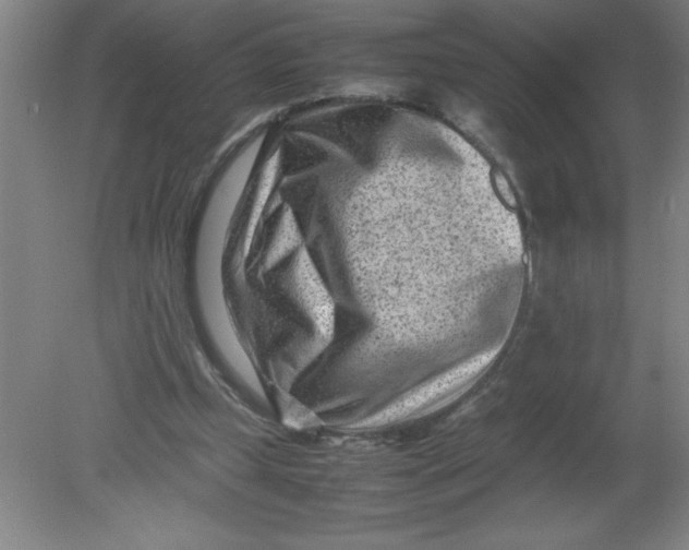 X0000080120249200612302017