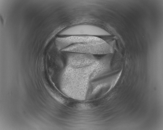 X0000080120250200612302017