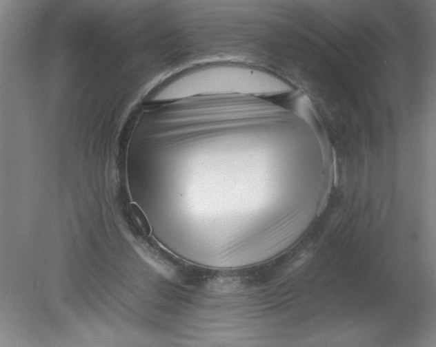 X0000080120252200612302017