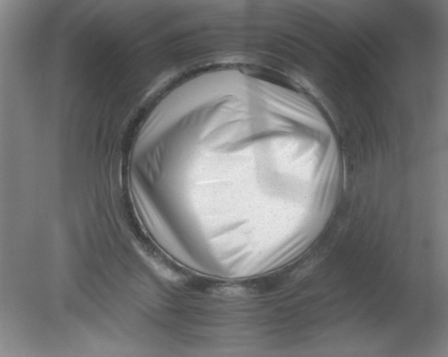 X0000080120253200612302017