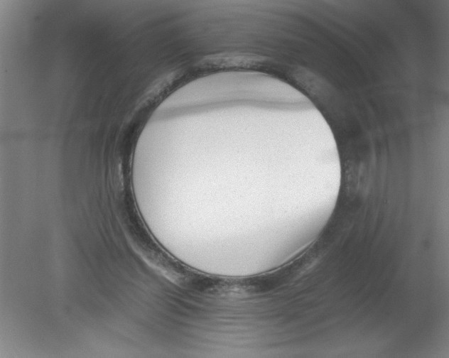 X0000080120254200612302018