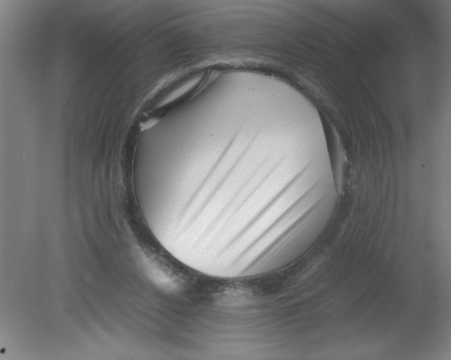 X0000080120256200612302018