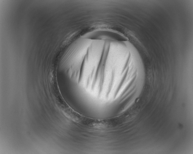 X0000080120259200612302018