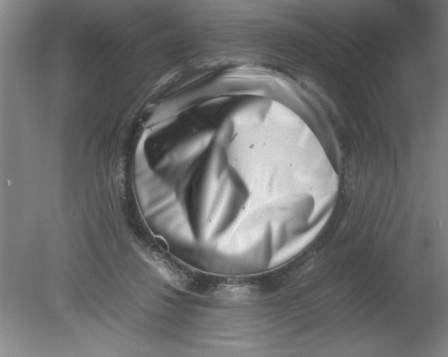 X0000080120260200612302018