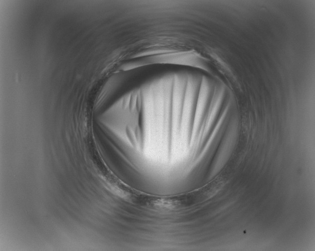 X0000080120261200612302018