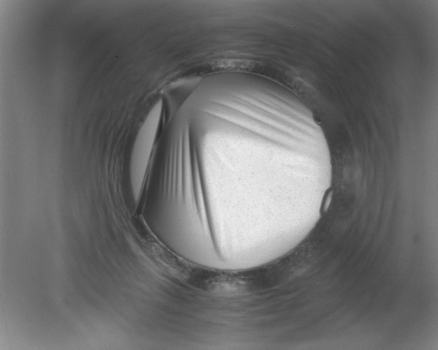 X0000080120263200612302018