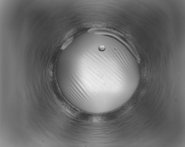 X0000080120264200612302018