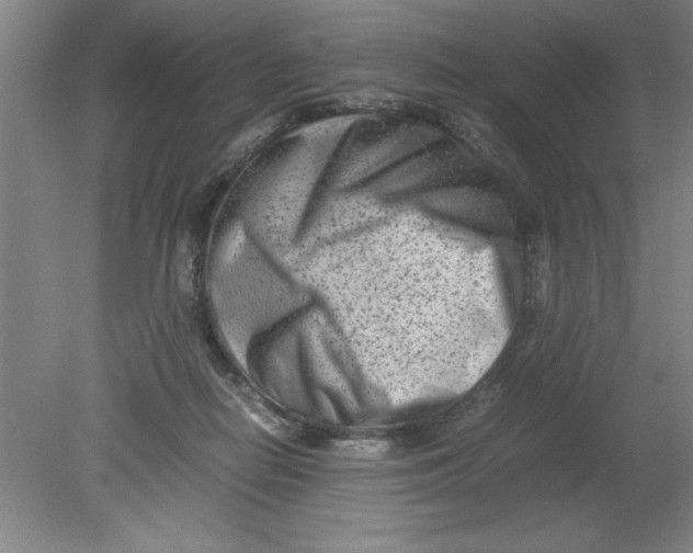 X0000080120266200612302018