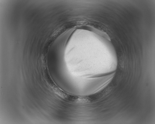 X0000080120270200612302018