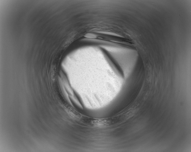 X0000080120273200612302018