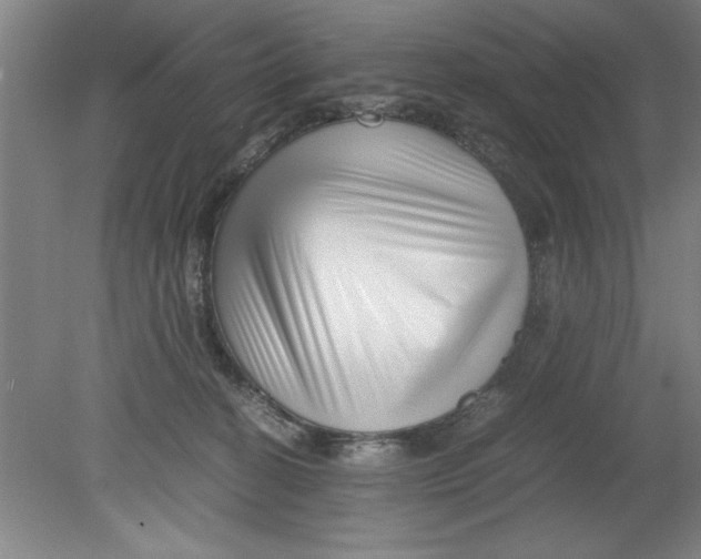 X0000080120274200612302018