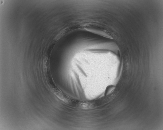 X0000080120275200612302018