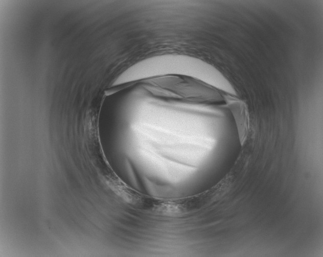 X0000080120276200612302018