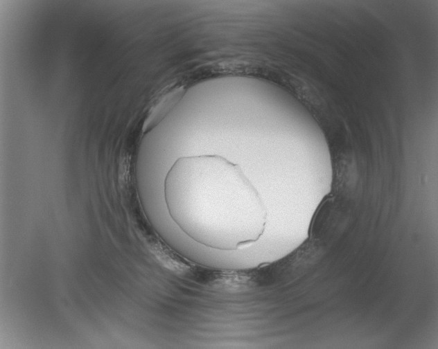 X0000080120278200612302018