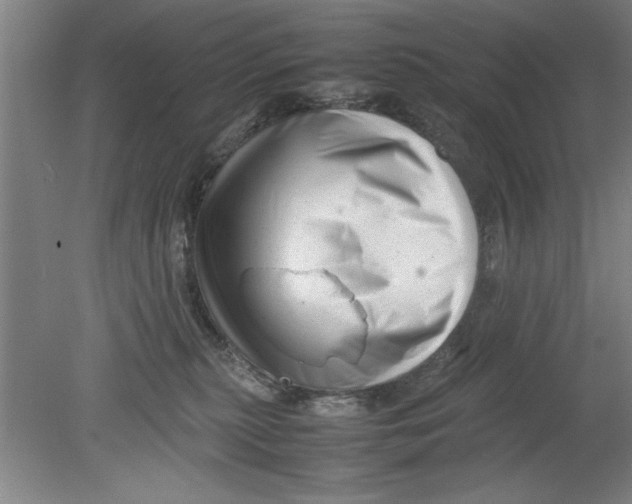 X0000080120279200612302018