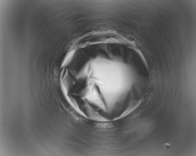 X0000080120281200612302018