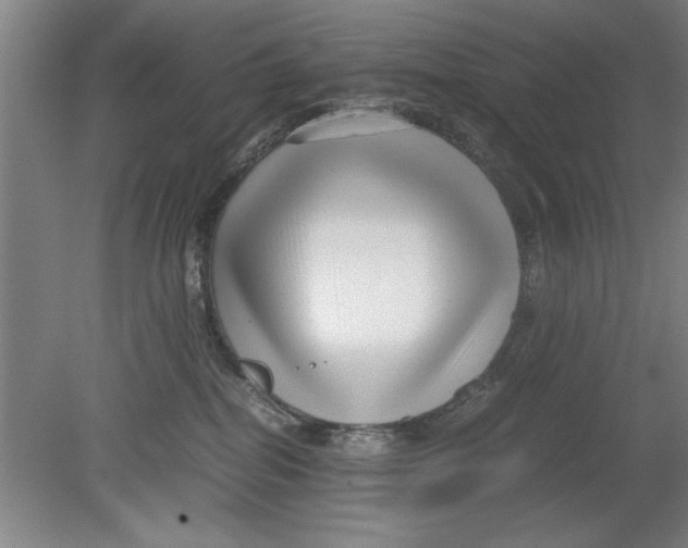 X0000080120282200612302018