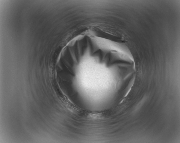 X0000080120283200612302018