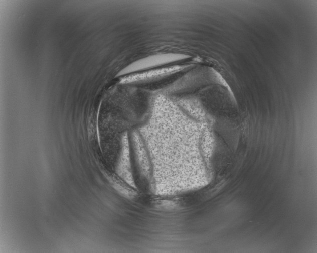 X0000080120285200612302018