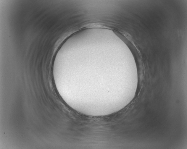 X0000080120289200612302017