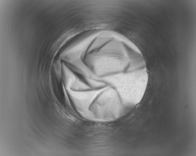 X0000080120290200612302017