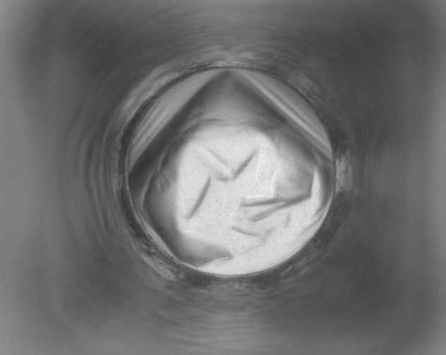 X0000080120291200612302017