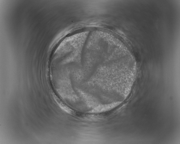 X0000080120293200612302017