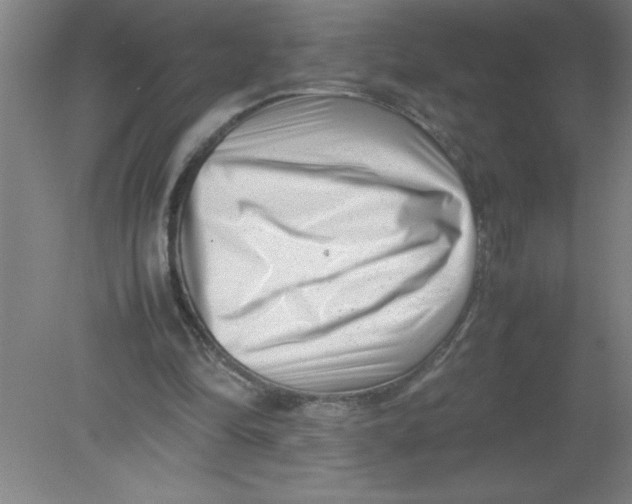 X0000080120294200612302017