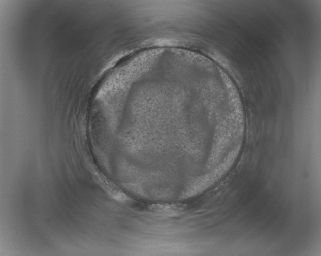 X0000080120297200612302017