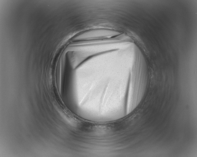 X0000080120298200612302017