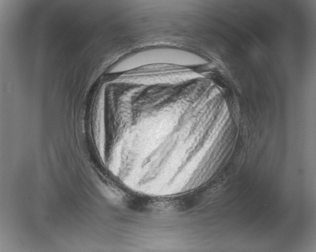 X0000080120299200612302017