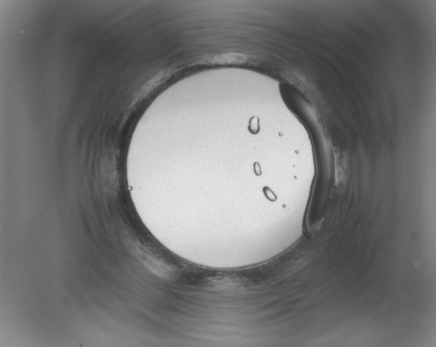 X0000080120300200612302017