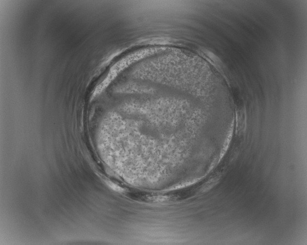 X0000080120301200612302017